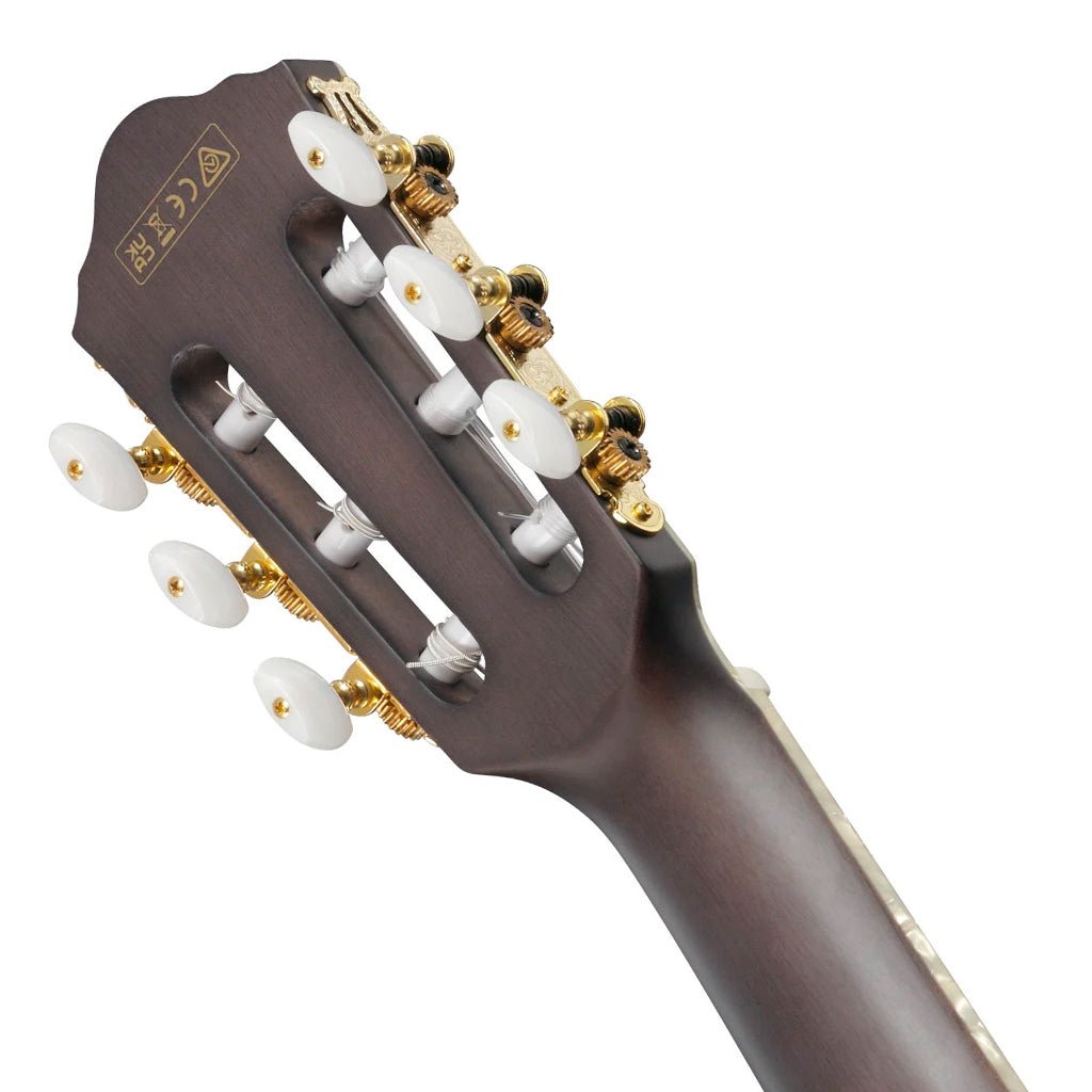 Ibanez Tim Henson TOD10NL Signature Left Handed Nylon Guitar Classical Guitars Sky Music