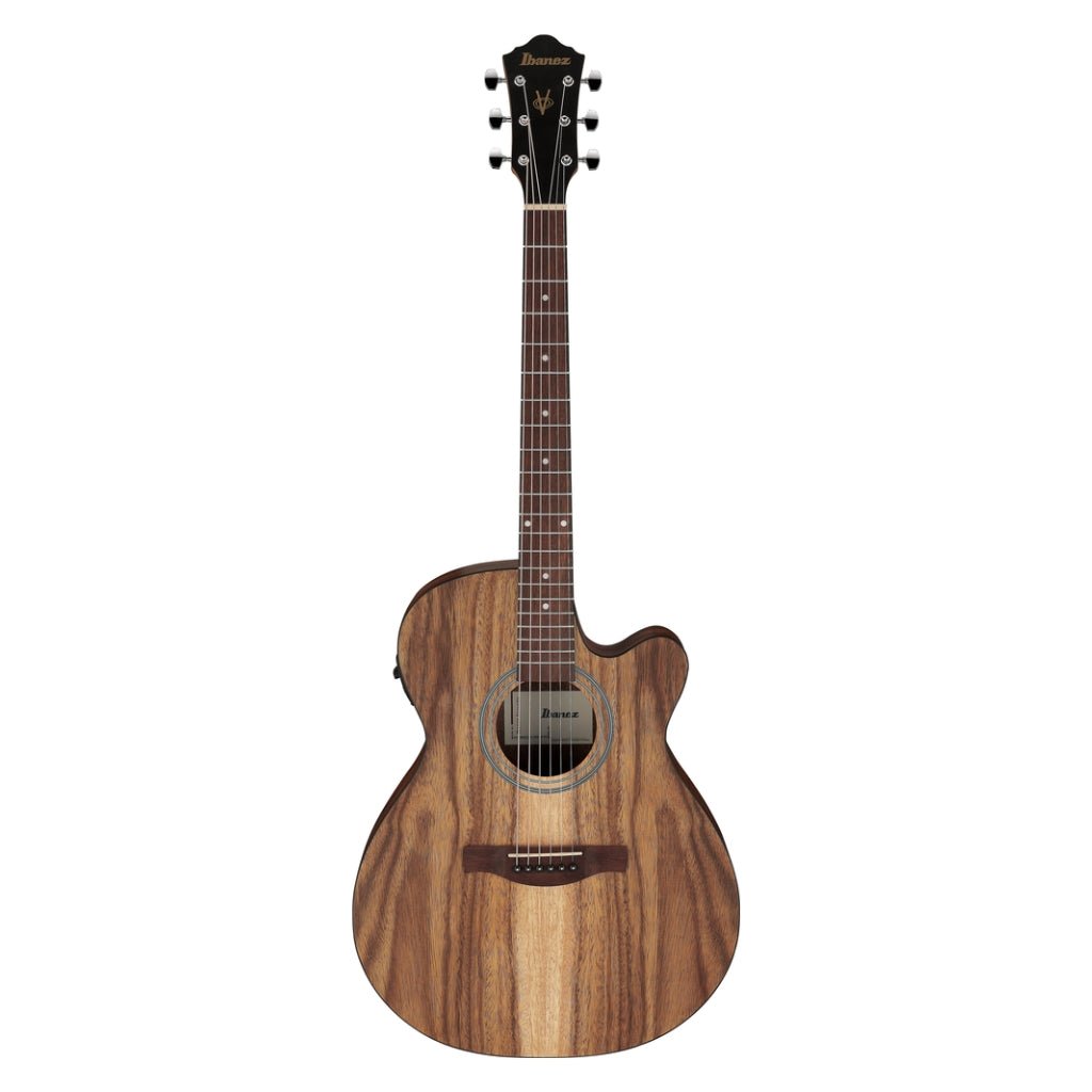Ibanez V40WSCE Acoustic Guitar - Open Pore Brown Acoustic Guitars Sky Music