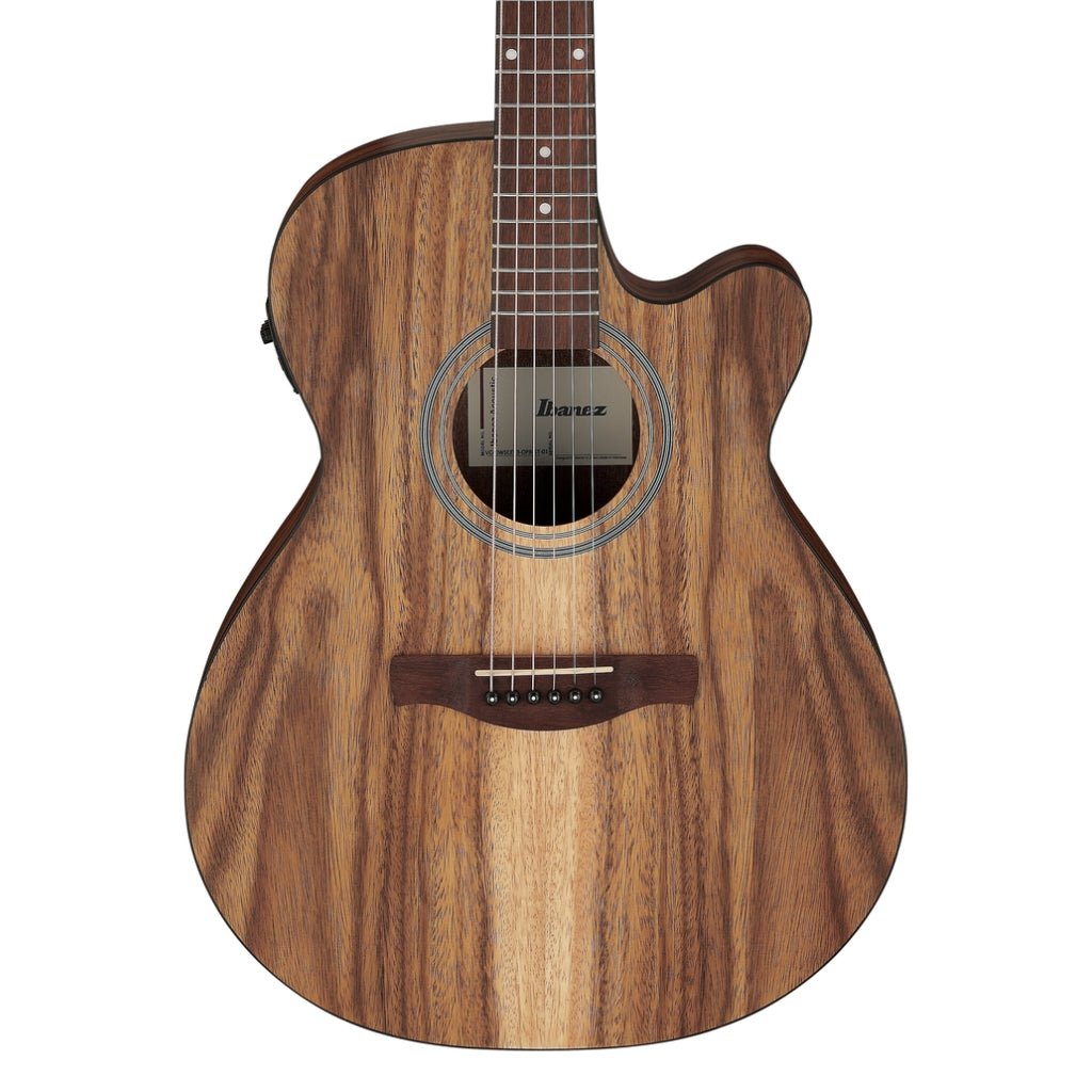 Ibanez V40WSCE Acoustic Guitar - Open Pore Brown Acoustic Guitars Sky Music
