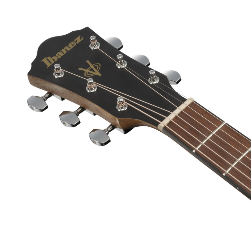 Ibanez V40WSCE Acoustic Guitar - Open Pore Brown Acoustic Guitars Sky Music