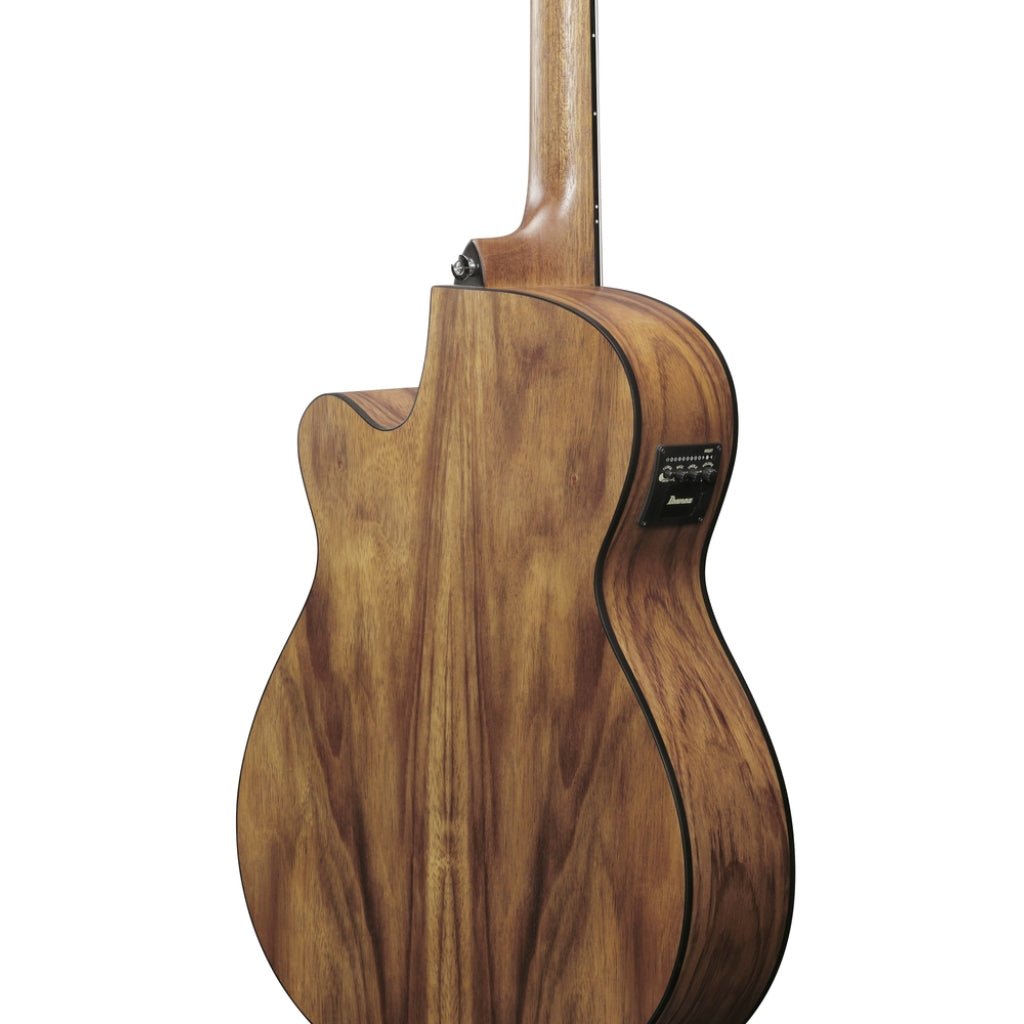Ibanez V40WSCE Acoustic Guitar - Open Pore Brown Acoustic Guitars Sky Music