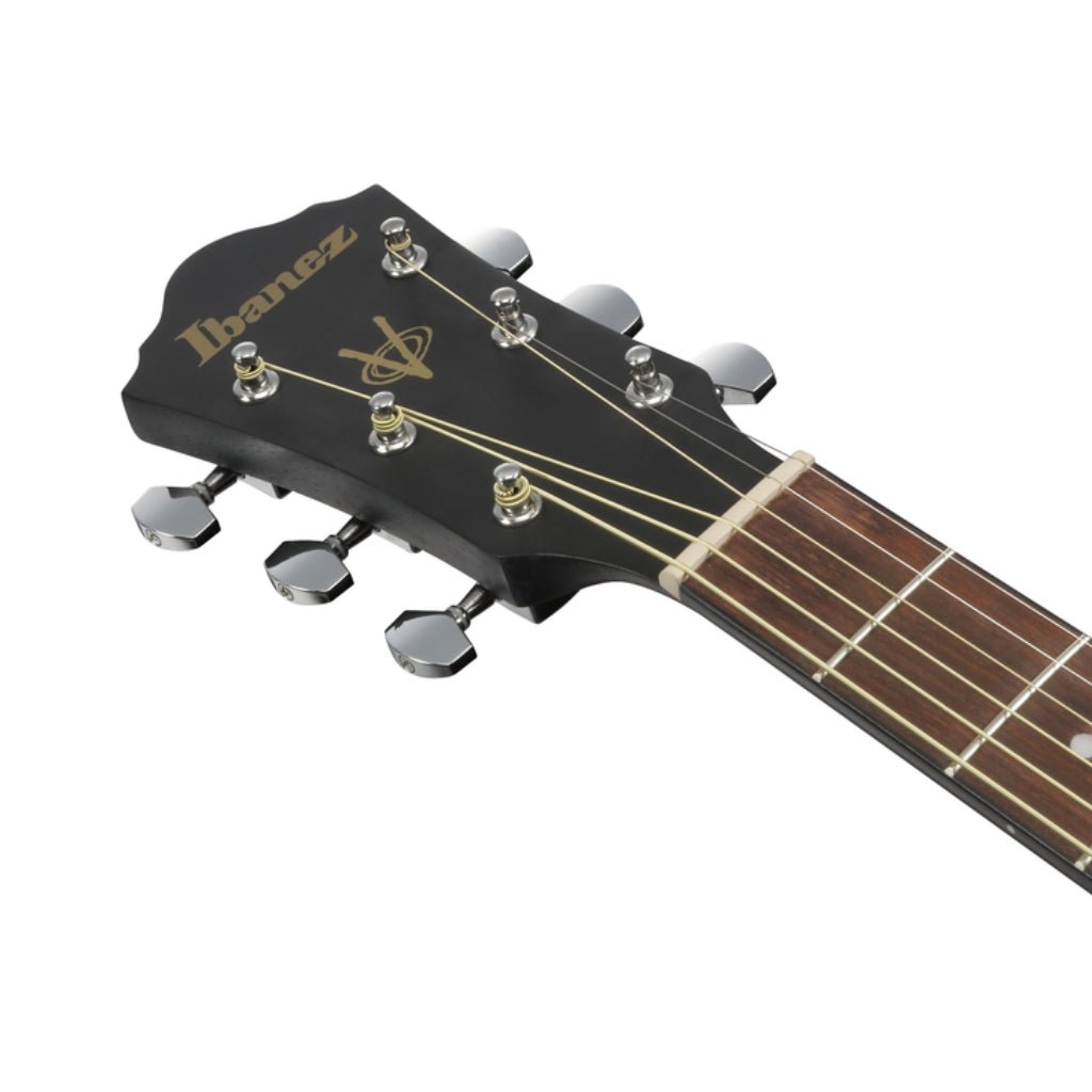 Ibanez V54NJP Acoustic Guitar with Bag - Open Pore Weathered Black Acoustic Guitars Sky Music