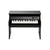 Korg - 25 Minikey - Upright Piano Black