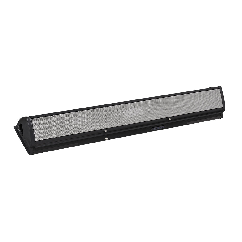 Korg PaAS MK2 Speaker System for Pa5X Pa4X and Pa3X Speakers Sky Music