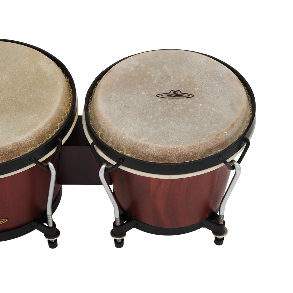 Latin Percussion CP 6″ & 7″ Traditional Bongo - Dark Wood Percussion Sky Music