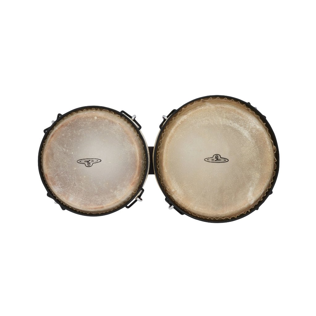 Latin Percussion CP 6″ & 7″ Traditional Bongo - Dark Wood Percussion Sky Music