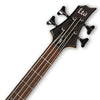 ESP LTD F204 Bass in Black Satin