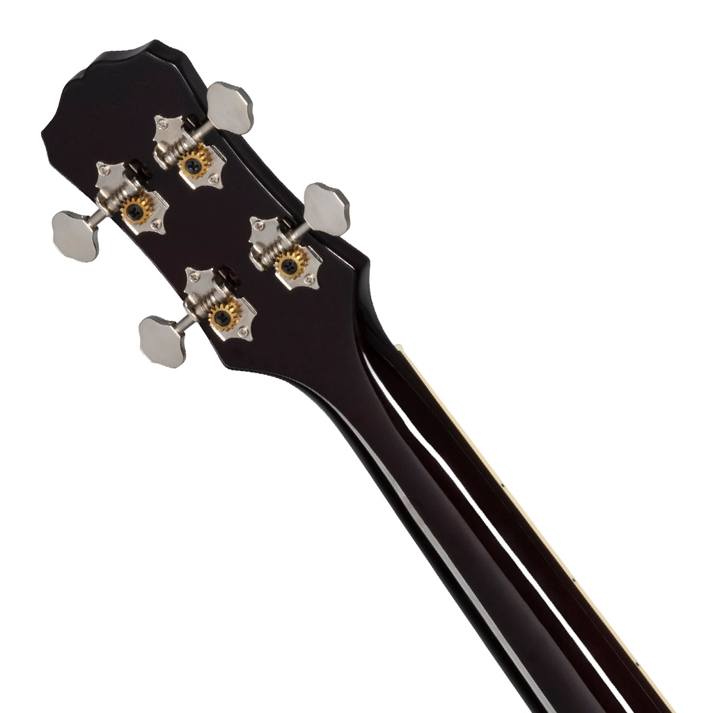 Epiphone LP AC EL UKE Tenor VS