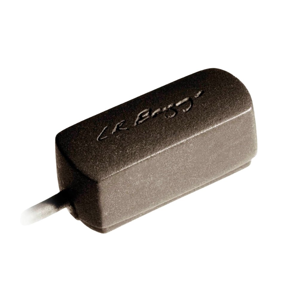 LR Baggs RADM Radius Mandolin Pickup w/ JACK Acoustic Guitar Pickups Sky Music