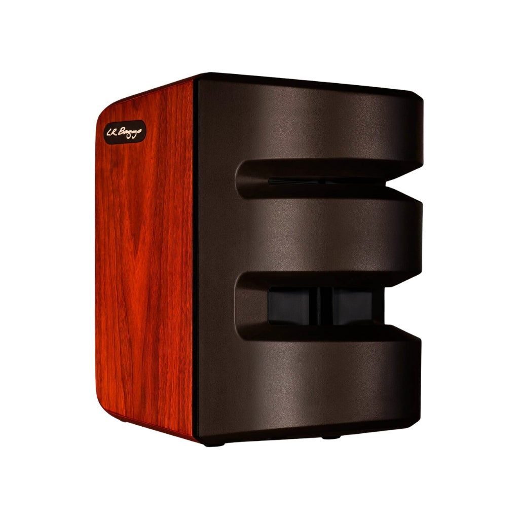 LR Baggs - Synapse - Personal PA System