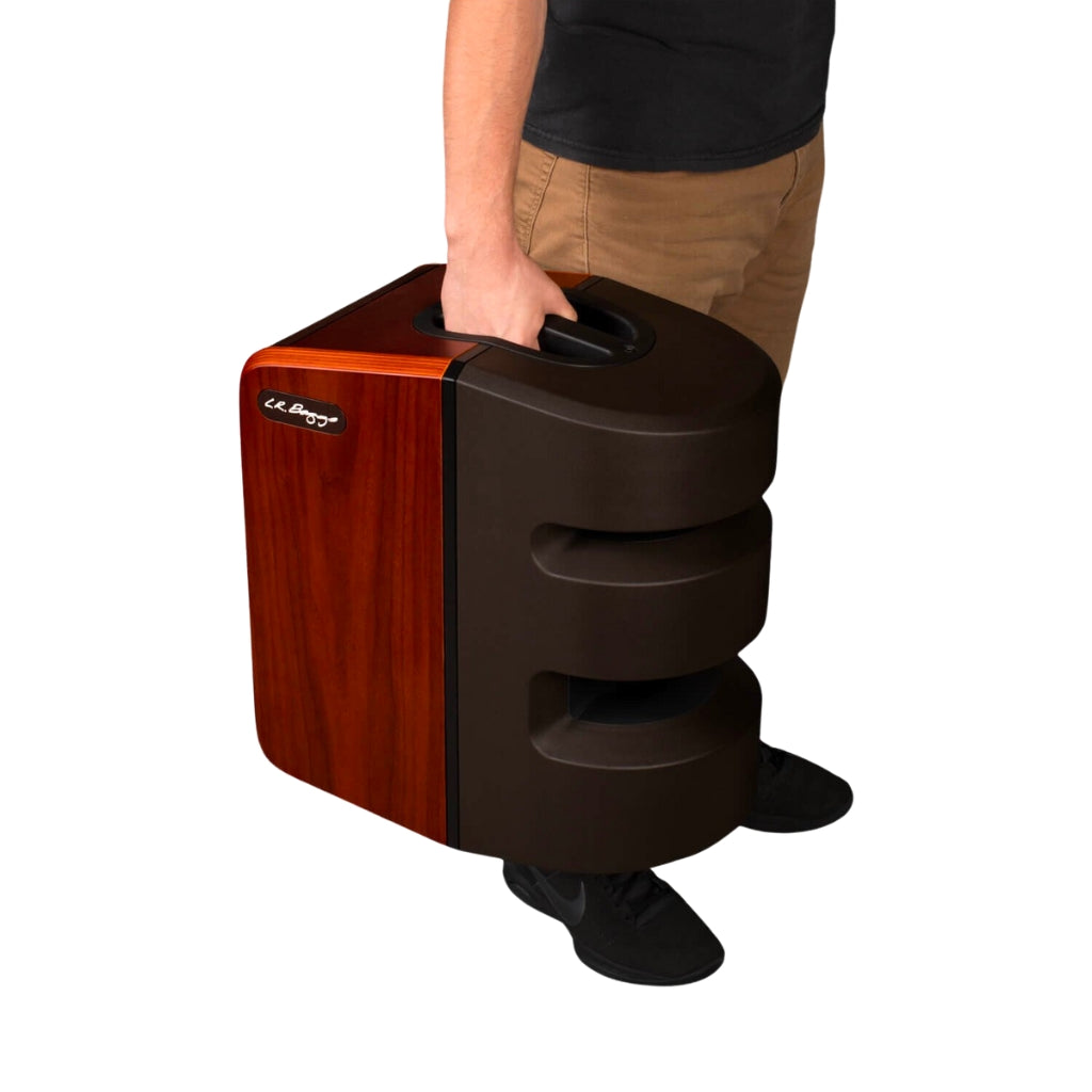 LR Baggs - Synapse - Personal PA System