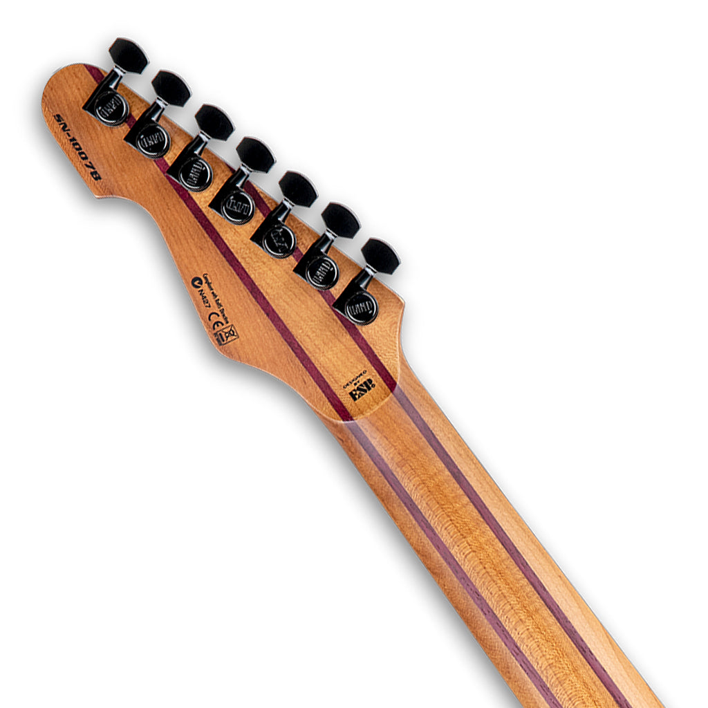 LTD SN 1007HT in Black Blast