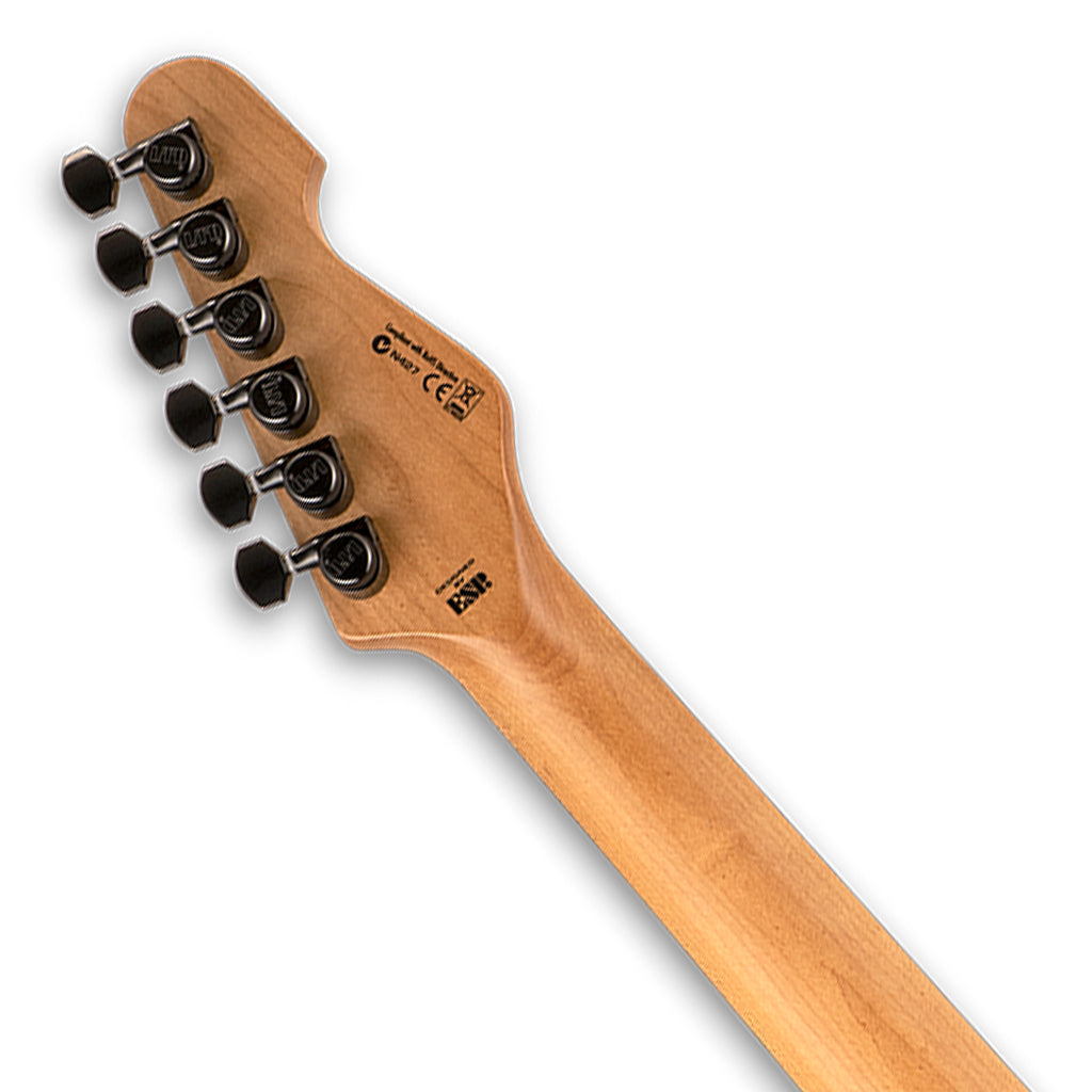 ESP LTD SN 1 Black Blast