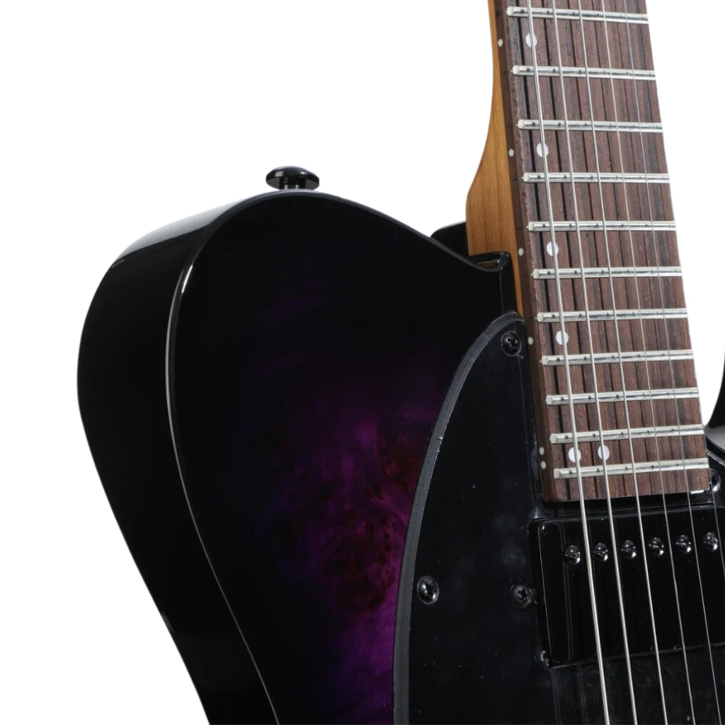 ESP LTD - TE-200DX Electric Guitar - Purple Burst