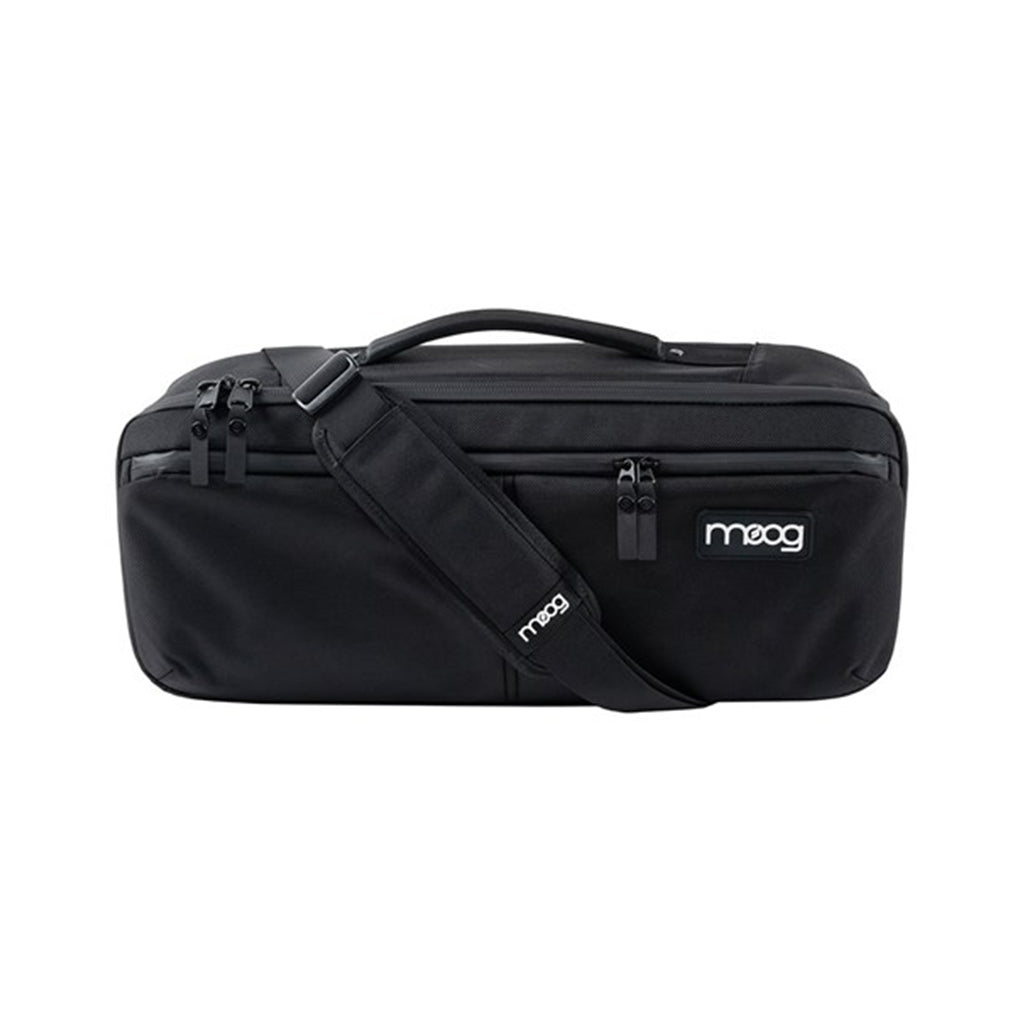 Moog Etherwave Theremin SR Case Cases & Bags Sky Music