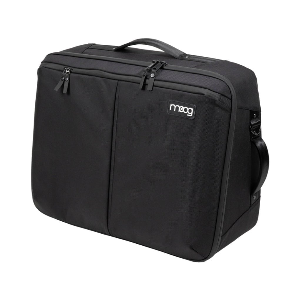 Moog SR Case for Subsequent 25 Cases & Bags Sky Music