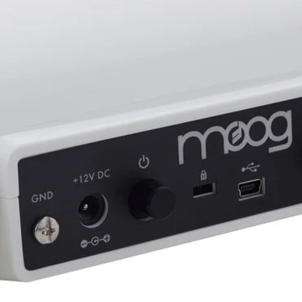 Moog Theremini Theremin with Assistive Pitch Correction Theremin Sky Music