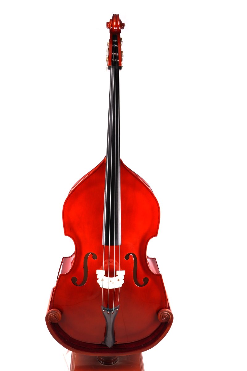 Nameless Upright Double Bass SDB1, 1/2 Size, with Bow and Bag Double Bass Sky Music