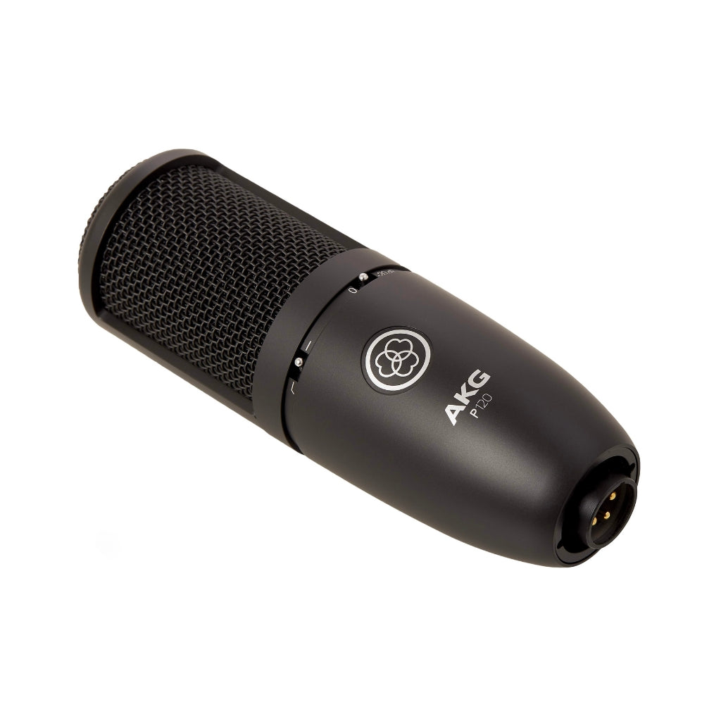 AKG - P120 - Large Diaphragm Condenser Microphone