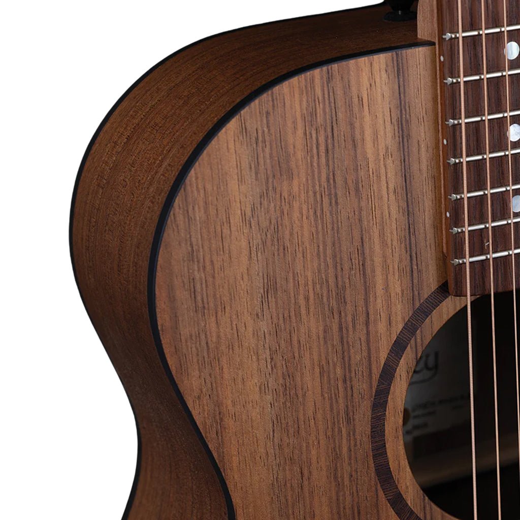 Pratley PRM-SE-BWBW Classic Mini All Solid Blackwood A/E Acoustic Guitars Sky Music