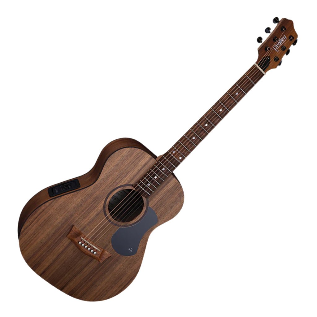Pratley PRM-SE-BWBW Classic Mini All Solid Blackwood A/E Acoustic Guitars Sky Music