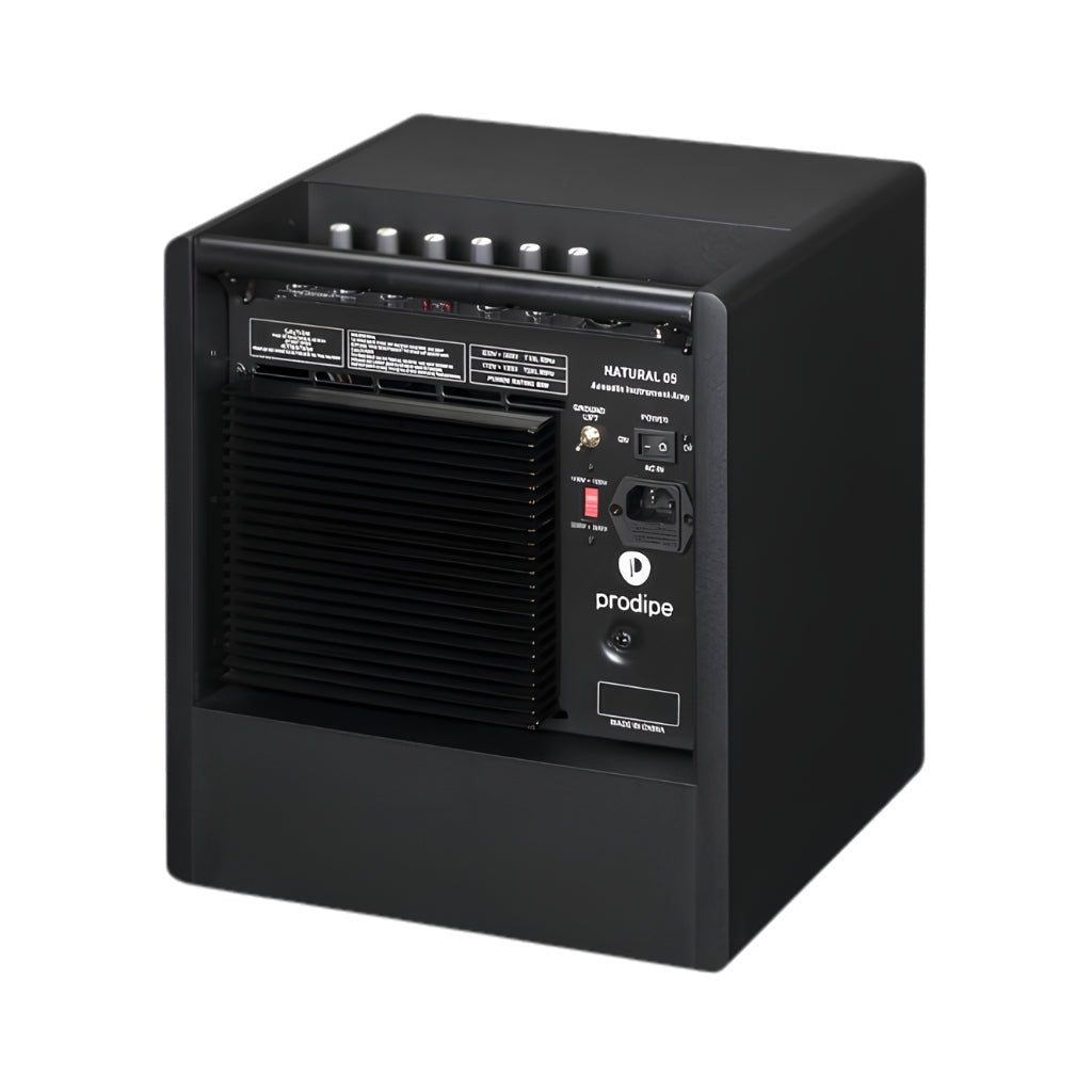 Prodipe Natural 5 90-Watt Acoustic Amplifier w/Bag - Black Acoustic Guitar Amplifiers Sky Music