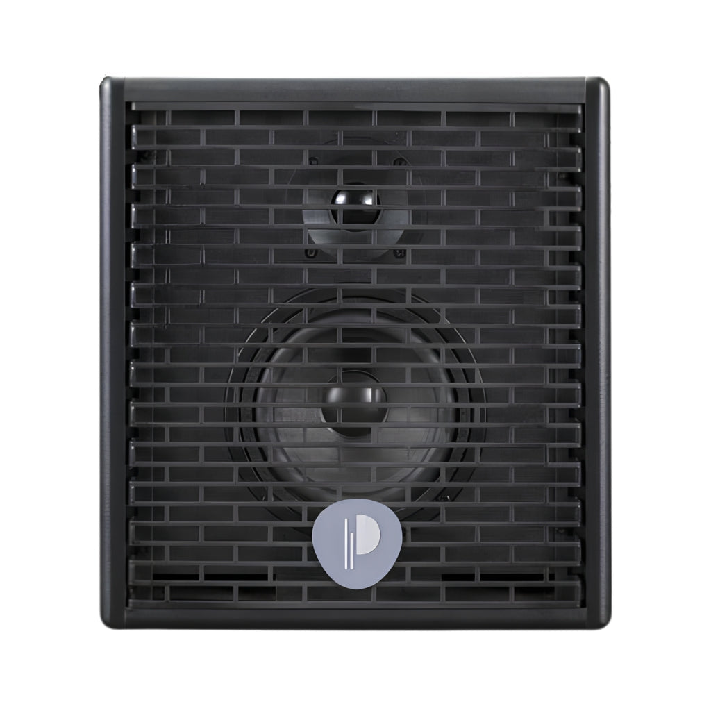 Prodipe Natural 5 90-Watt Acoustic Amplifier w/Bag - Black Acoustic Guitar Amplifiers Sky Music