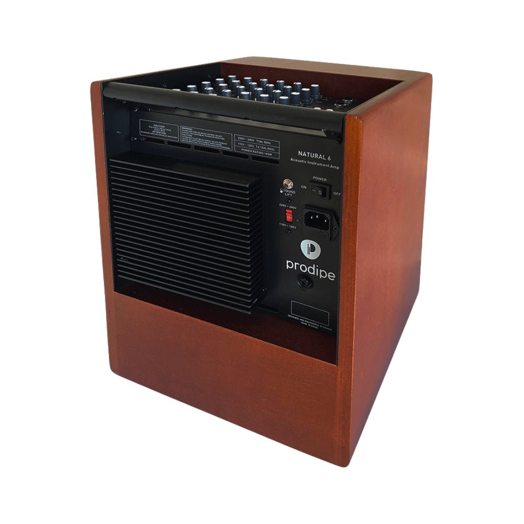 Prodipe Natural 6 140-Watt Acoustic Amplifier w/Bag - Cherry Wood Acoustic Guitar Amplifiers Sky Music