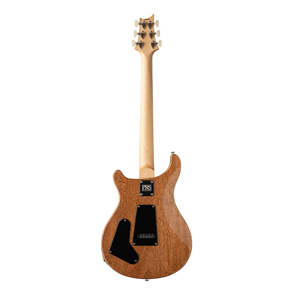 PRS CE 22 Limited Edition Rosewood Fretboard - Carroll Blue, Maple Top Electric Guitars Sky Music