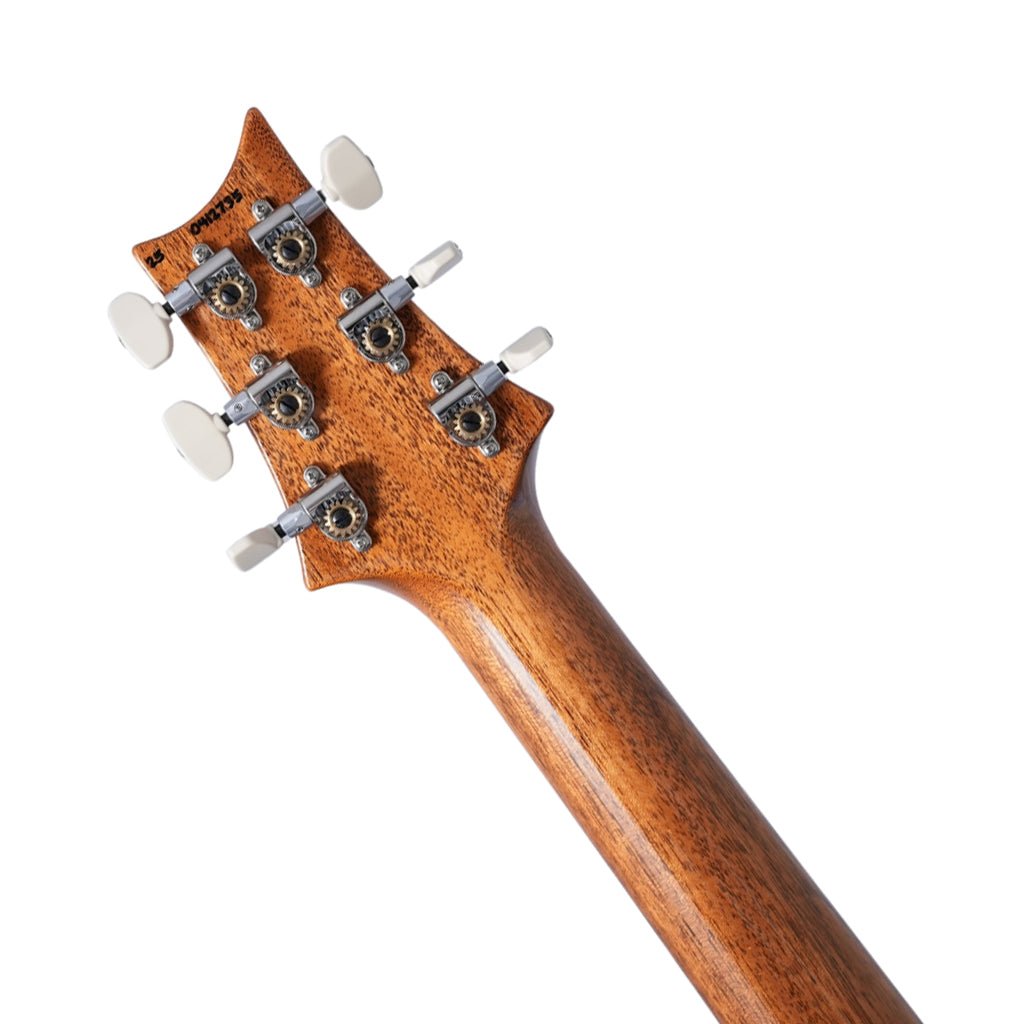 PRS Custom 24-08 Maple Top Pattern Thin Electric Guitar - Aurora Borealis Electric Guitars Sky Music