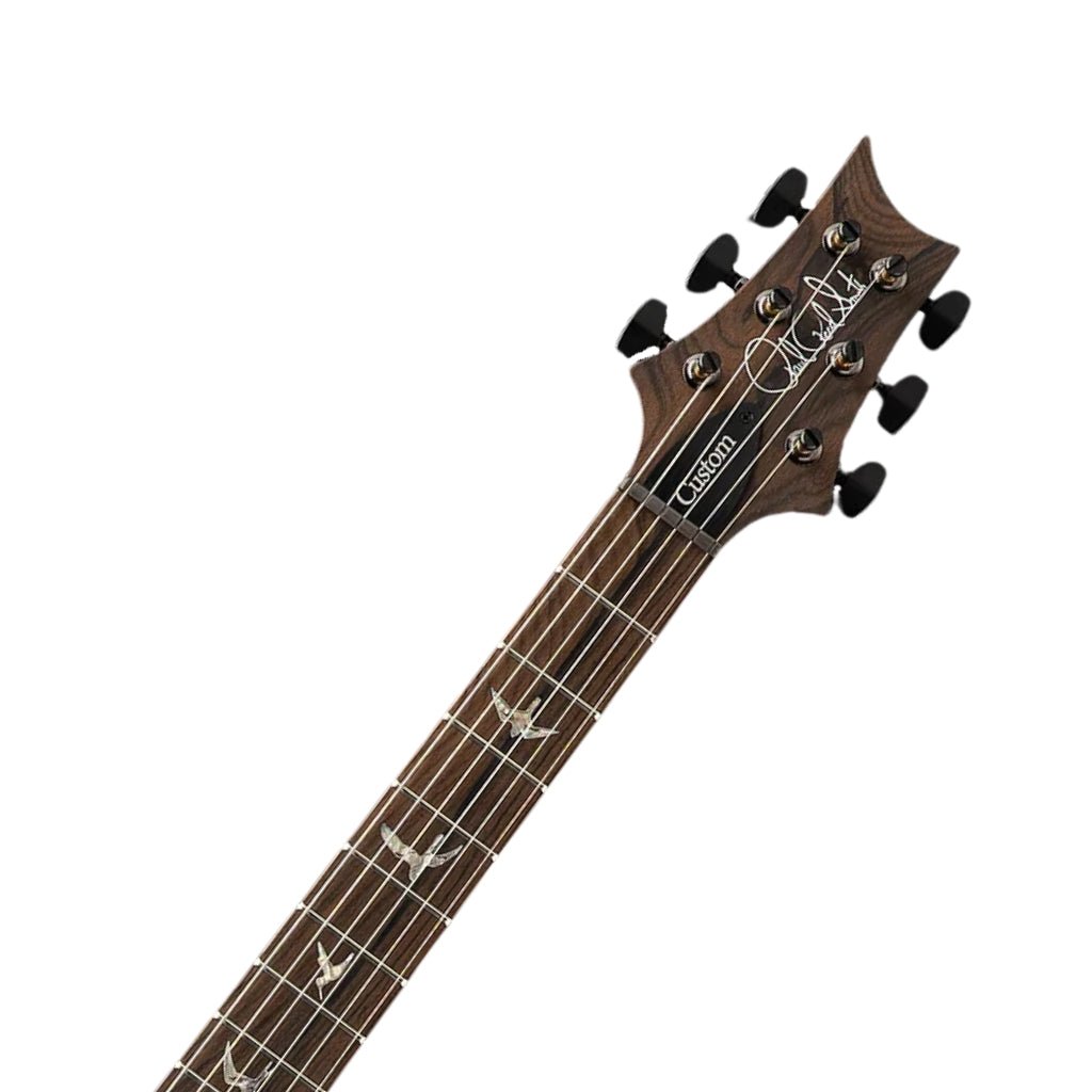 PRS Custom 24 Limited Edition Mango Top Electric Guitar - Violet Electric Guitars Sky Music