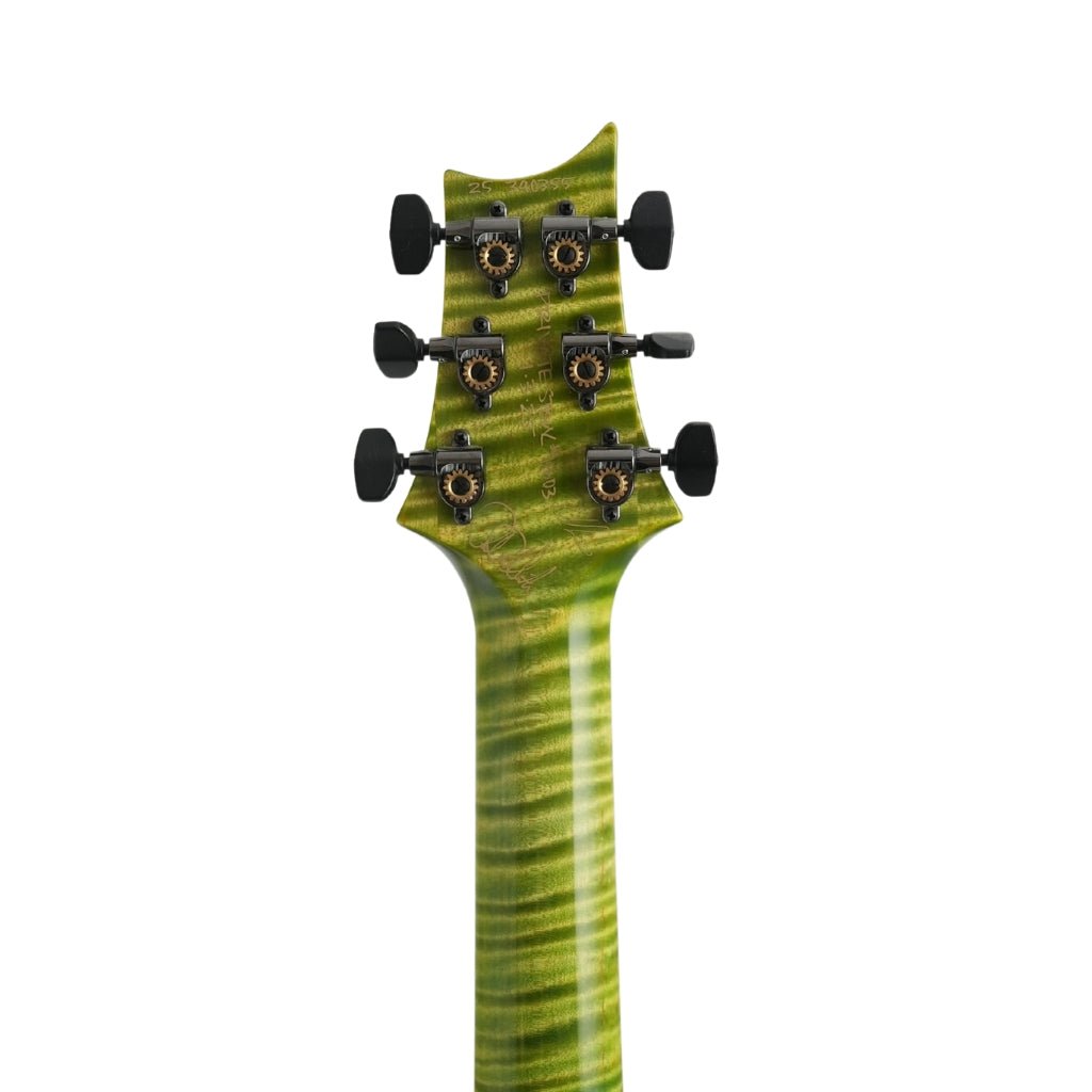 PRS Private Stock 11603 Custom 24-08 Semi-Hollow Electric Guitar - Rainforest Glow Electric Guitars Sky Music