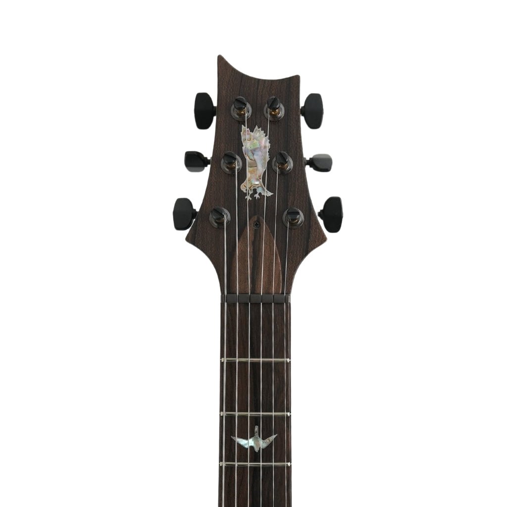 PRS Private Stock 11603 Custom 24-08 Semi-Hollow Electric Guitar - Rainforest Glow Electric Guitars Sky Music