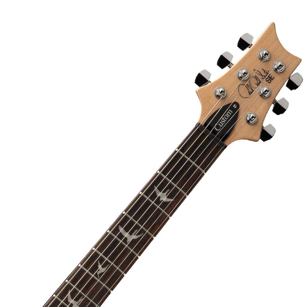 PRS SE Exotic Veneer Limited Edition Custom 24 Swamp Ash Burl - Natural Electric Guitars Sky Music
