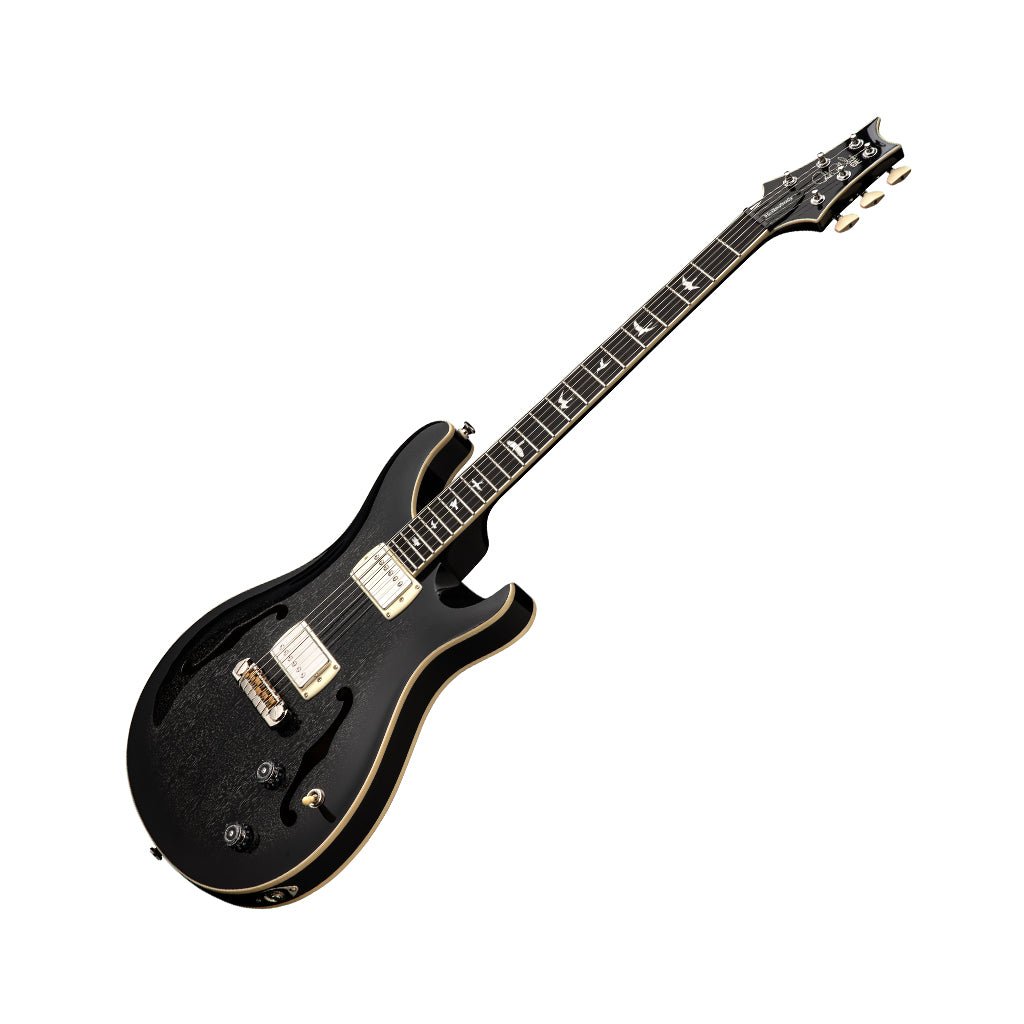 PRS SE Hollowbody Standard - Dog Hair Smokeburst Electric Guitars Sky Music