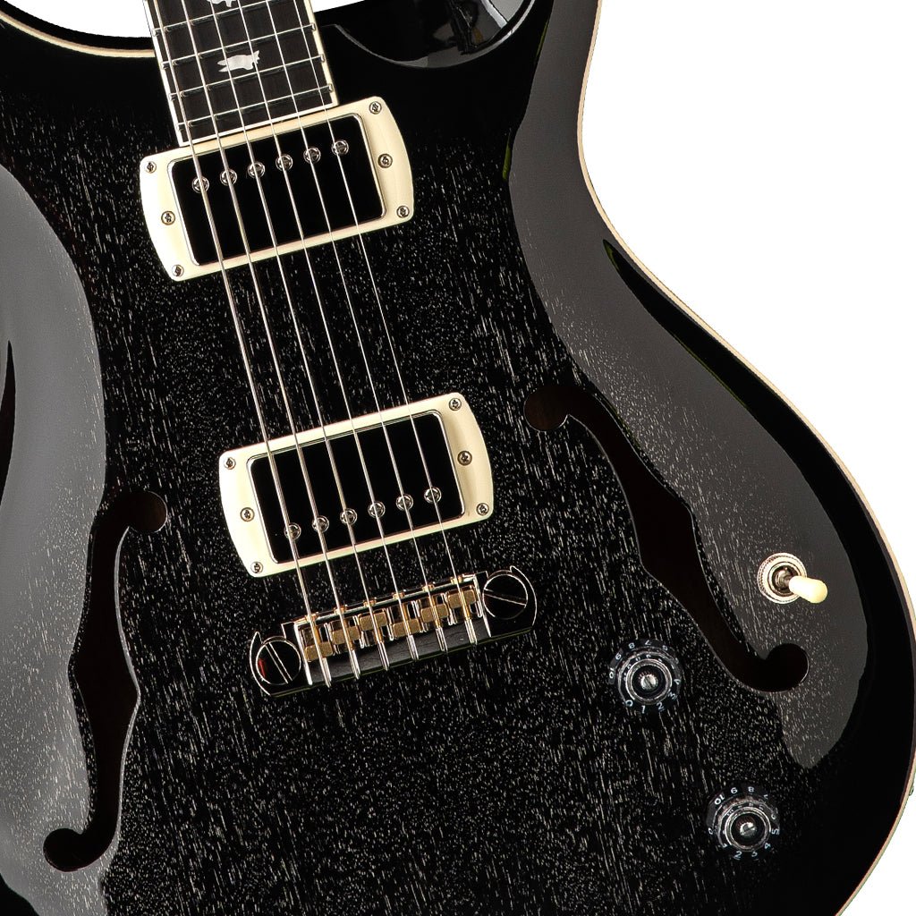 PRS SE Hollowbody Standard - Dog Hair Smokeburst Electric Guitars Sky Music