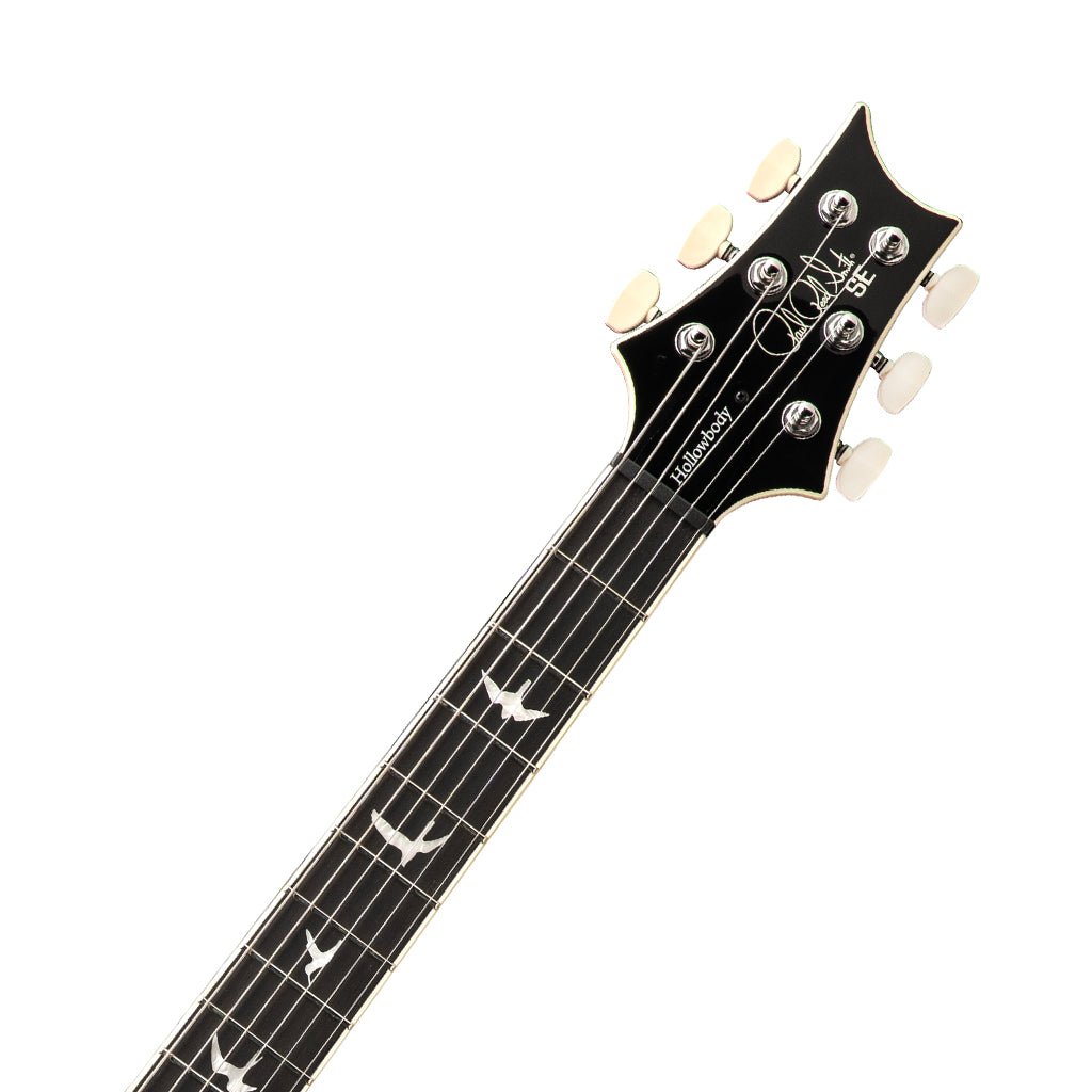 PRS SE Hollowbody Standard - Dog Hair Smokeburst Electric Guitars Sky Music