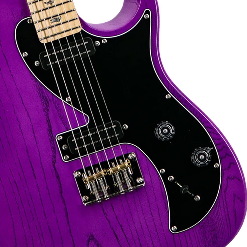 PRS SE NF53 Narrowfield Pickups Electric Guitar - Purple Dog Hair Electric Guitars Sky Music