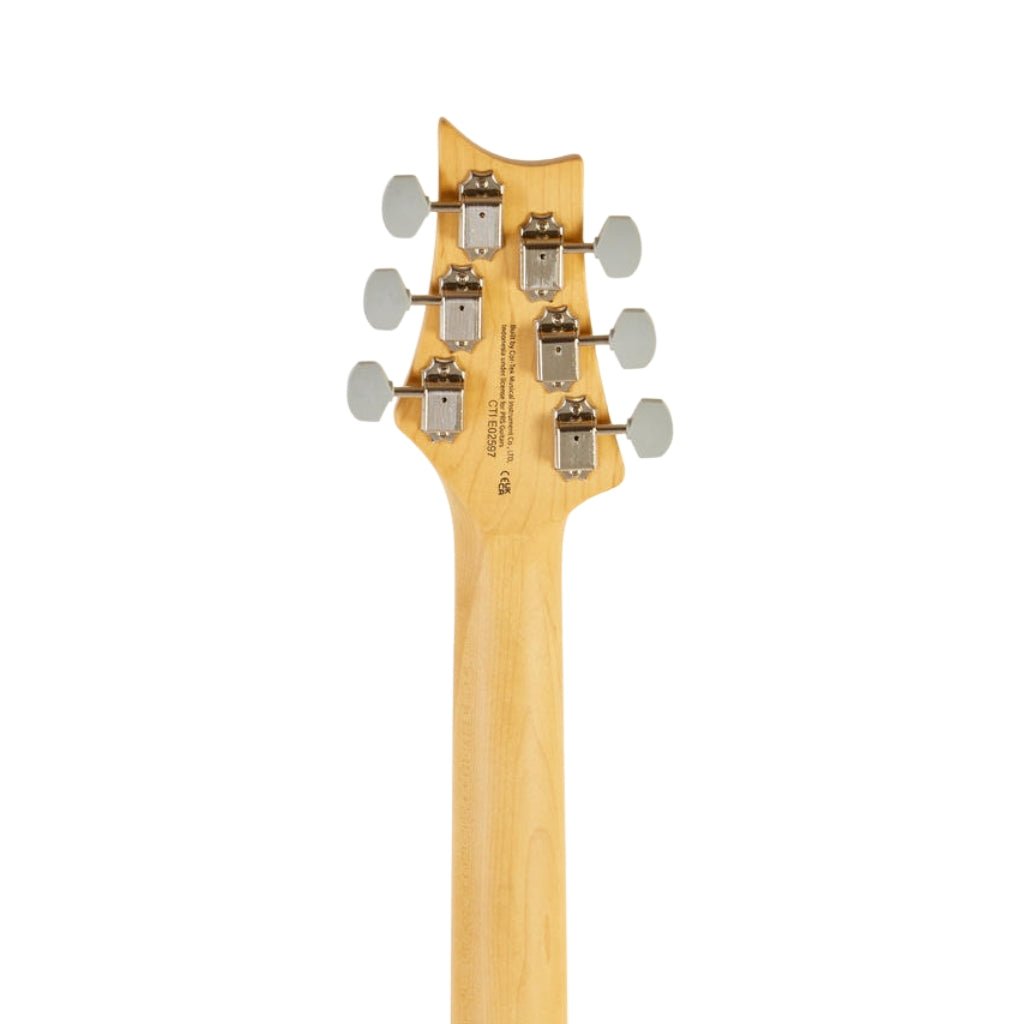 PRS SE Silver Sky Electric Guitar - Dragon Fruit with Rosewood Fingerboard Electric Guitars Sky Music