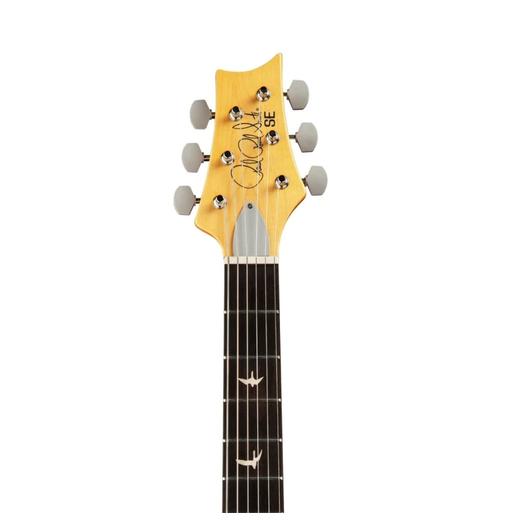 PRS SE Silver Sky Electric Guitar - Ever Green with Rosewood Fingerboard Electric Guitars Sky Music