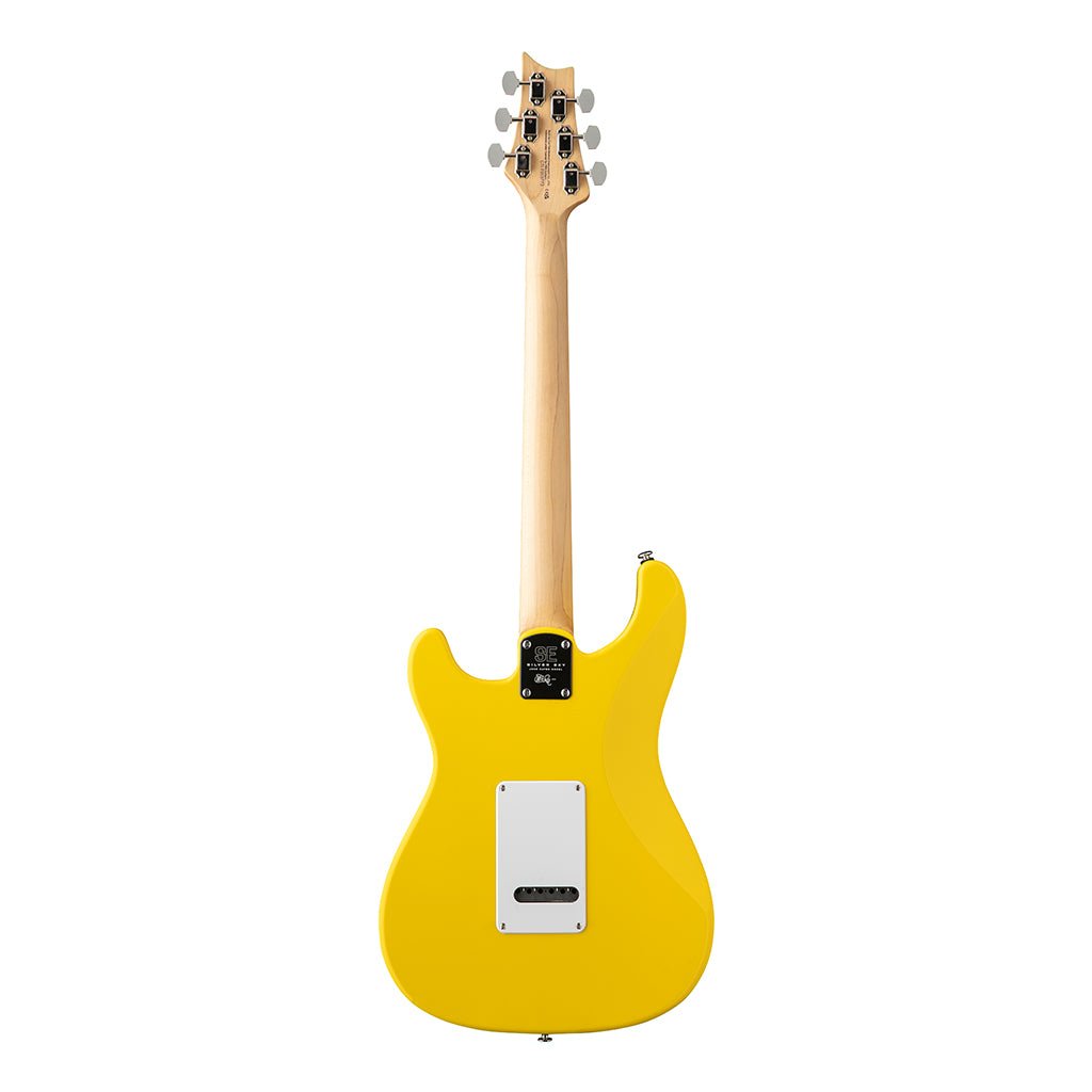 PRS SE Silver Sky Rosewood Fretboard - Dandy Lion Electric Guitars Sky Music