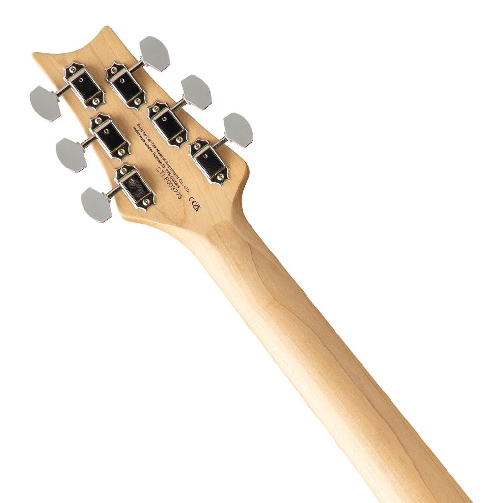 PRS SE Silver Sky Rosewood Fretboard - Dandy Lion Electric Guitars Sky Music