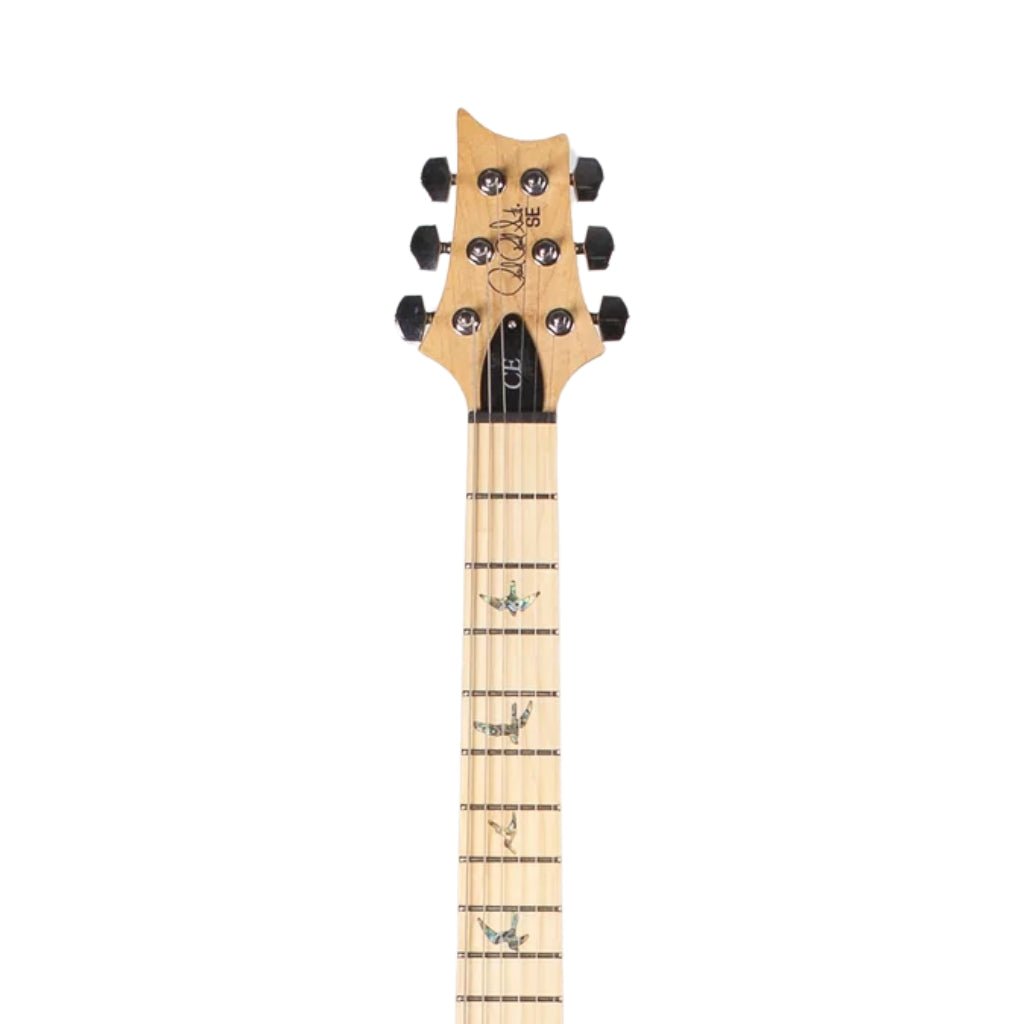 PRS SE Swamp Ash Special Model - Ice Blue Metallic Electric Guitars Sky Music