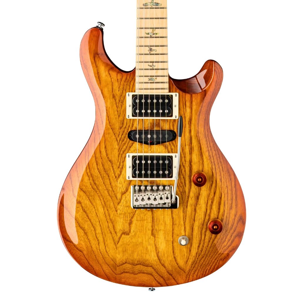 PRS SE Swamp Ash Special - Vintage Sunburst Electric Guitars Sky Music