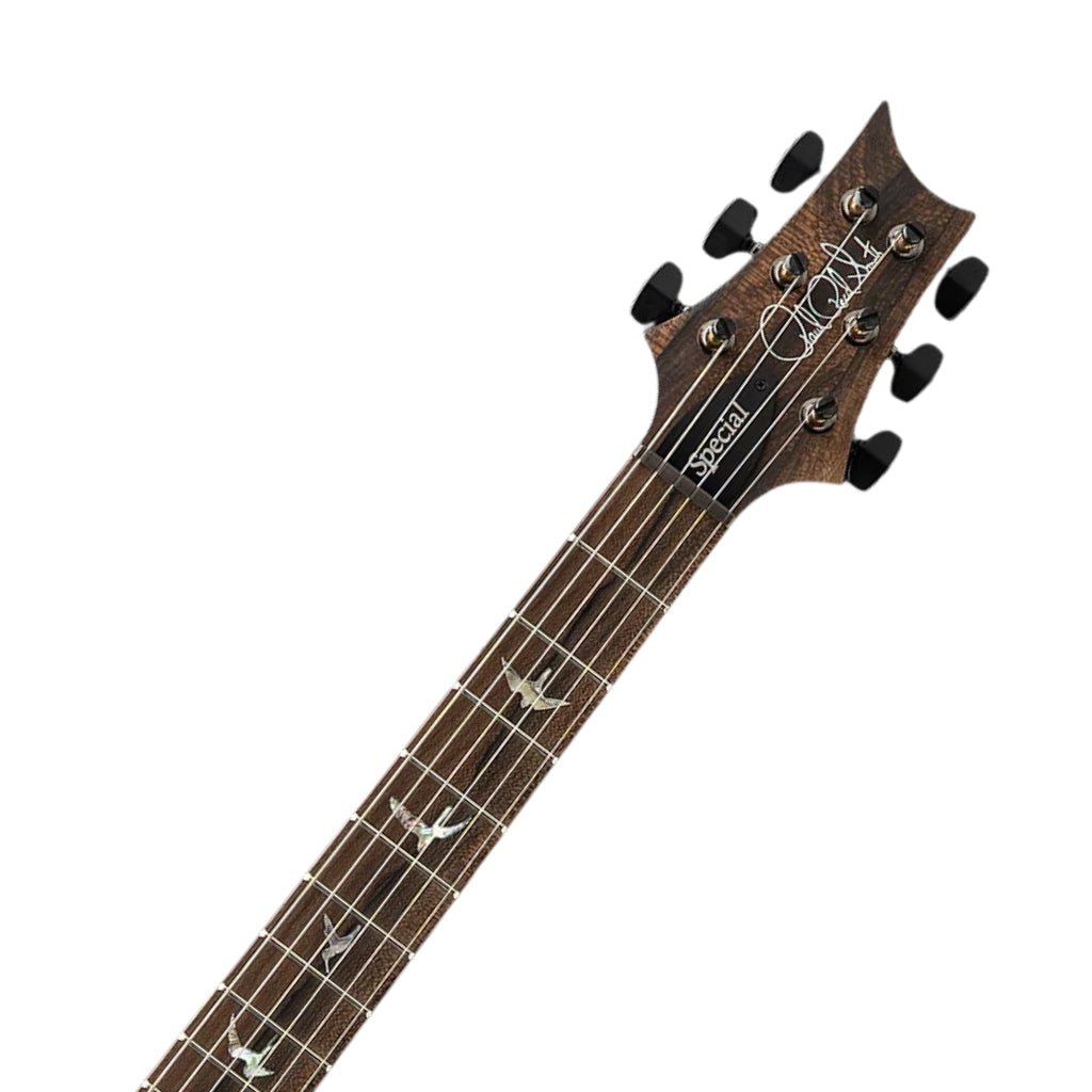 PRS Special Semi Hollow Limited Edition Mango Top Electric Guitar - Faded Whale Blue Electric Guitars Sky Music