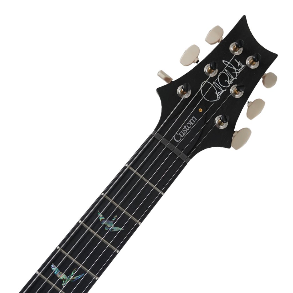 PRS Wood Library Custom 24 - Ebony Fingerboard - Autumn Sky Electric Guitars Sky Music