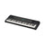 Yamaha - PSRE283 - Portable Beginner Keyboard