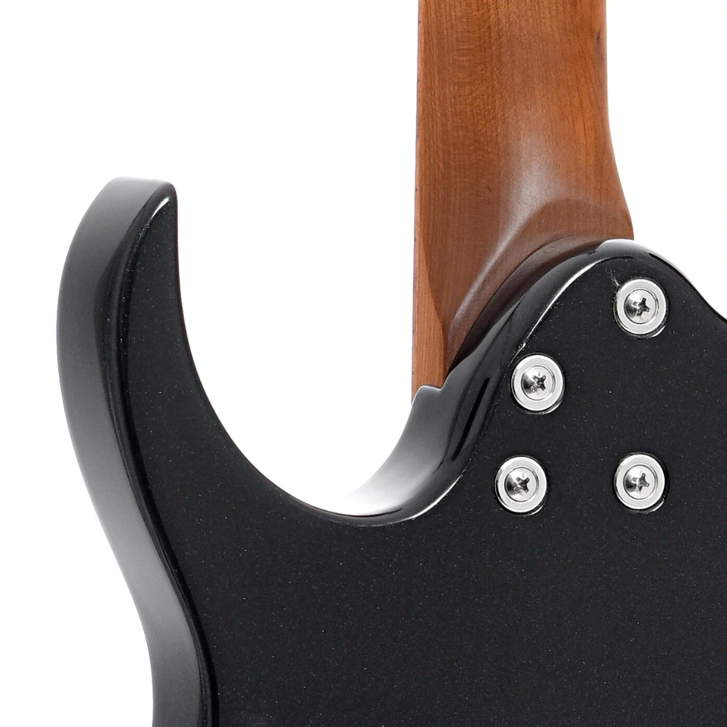 Ibanez - RG121SP Electric Guitar - Black Night