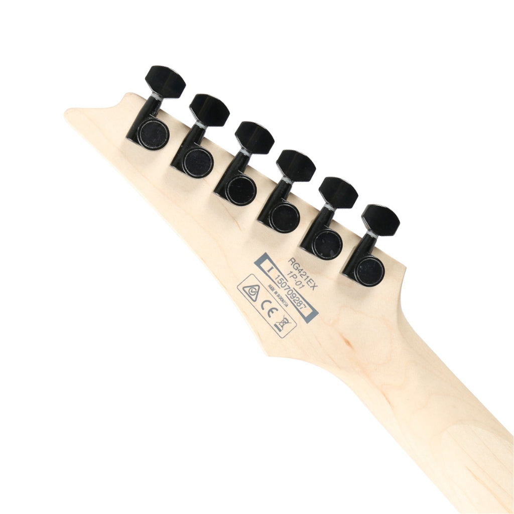 Ibanez RG421EXBKF Electric Guitar - Black Flat
