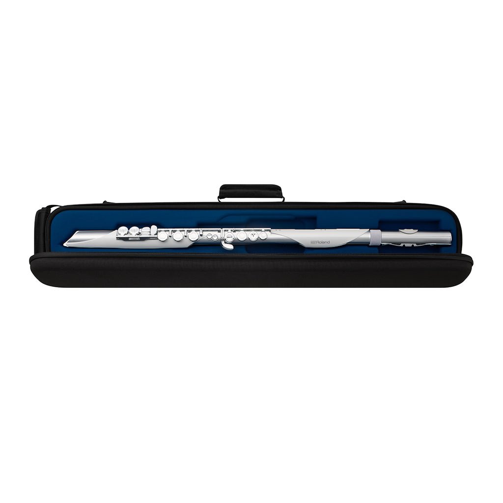 Roland Aerophone Brisa Digital Wind Instrument Digital Wind Instruments Sky Music